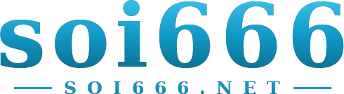soi666 logo